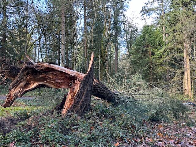 Photo courtesy of Greg Asimakoupoulos