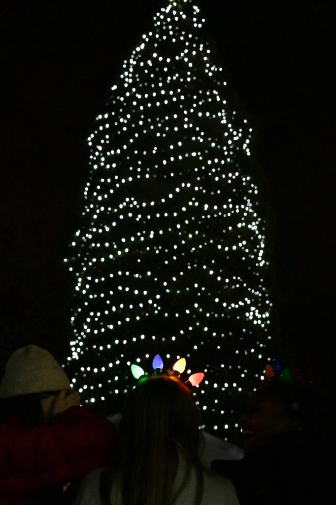 Andy Nystrom/ staff photo