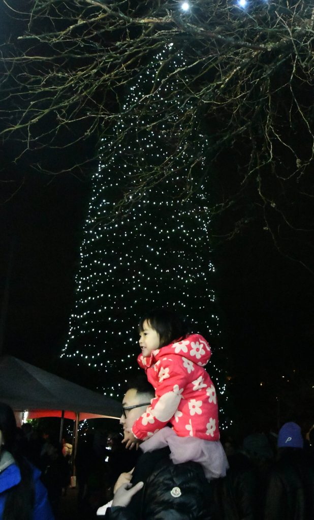 Andy Nystrom/ staff photo