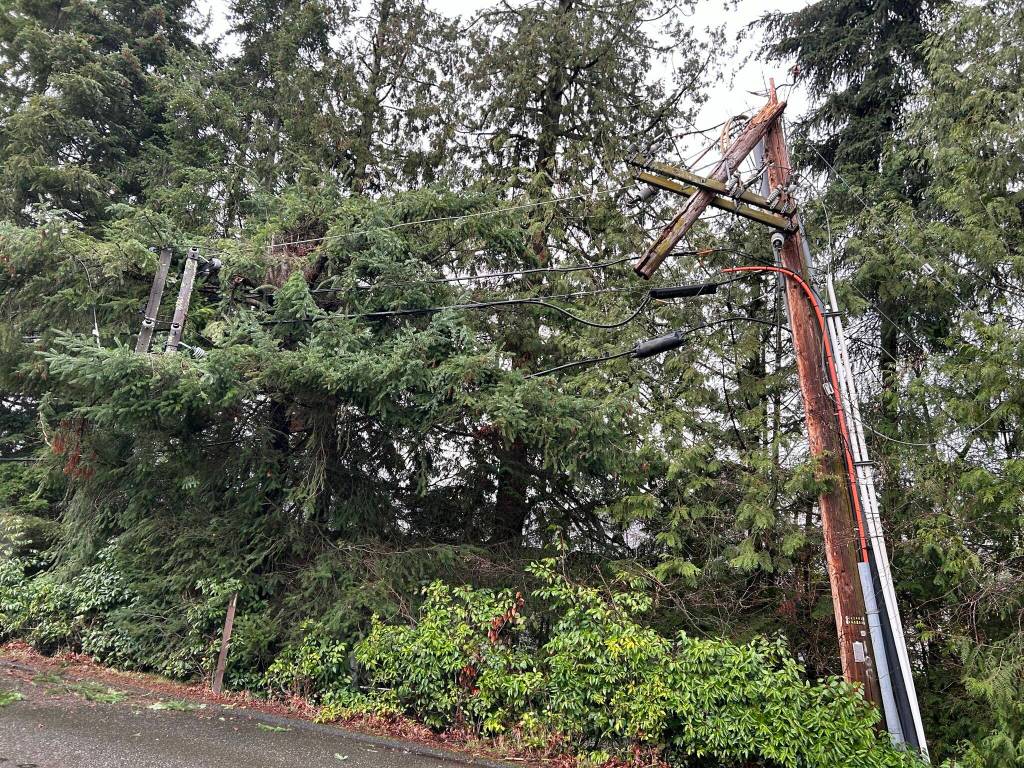 Photo courtesy of the city of Mercer Island
