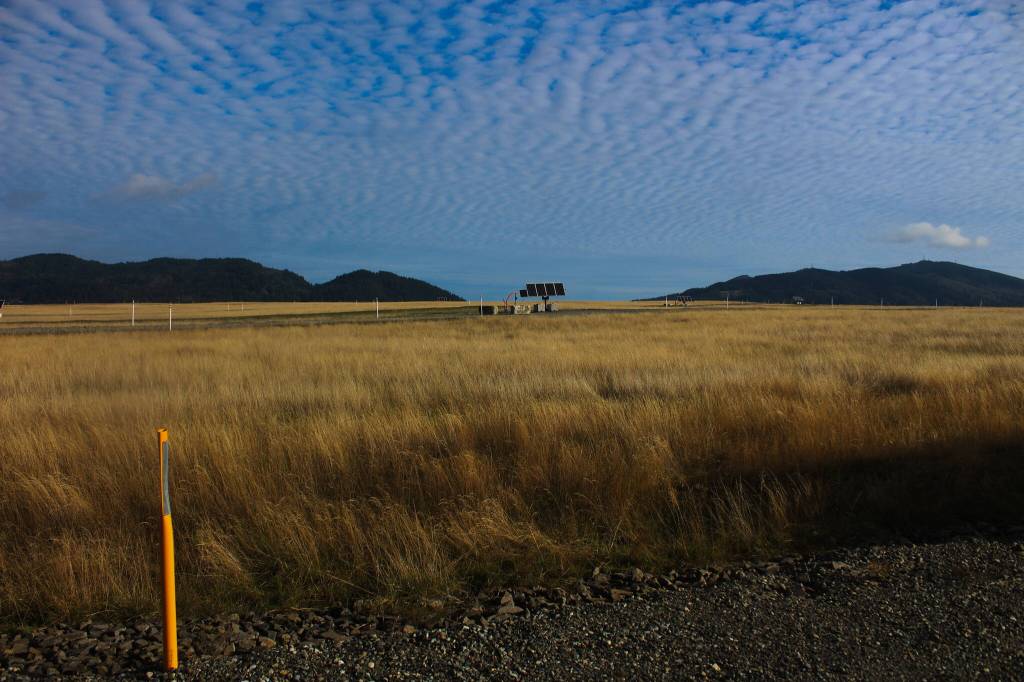 The top of Cell 7  currently the highest point of the Cedar Hills Regional Landfill  has a landscape similar to the dry areas of eastern Washington. Photo by Bailey Jo Josie/Sound Publishing.