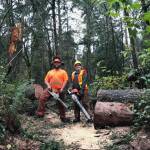At its Jan. 20 meeting, Mercer Islands Open Space Conservancy Trust Board recognized city staff for its dedication to local parks following the bomb cyclone storm on Nov. 19, 2024, as well as later storms this winter. The board observed the difficult conditions under which the city staff  including Tyler Shaw and Jenni Gregg (pictured)  worked to quickly restore Pioneer Park, its trails and trail system. Photo courtesy of the city of Mercer Island