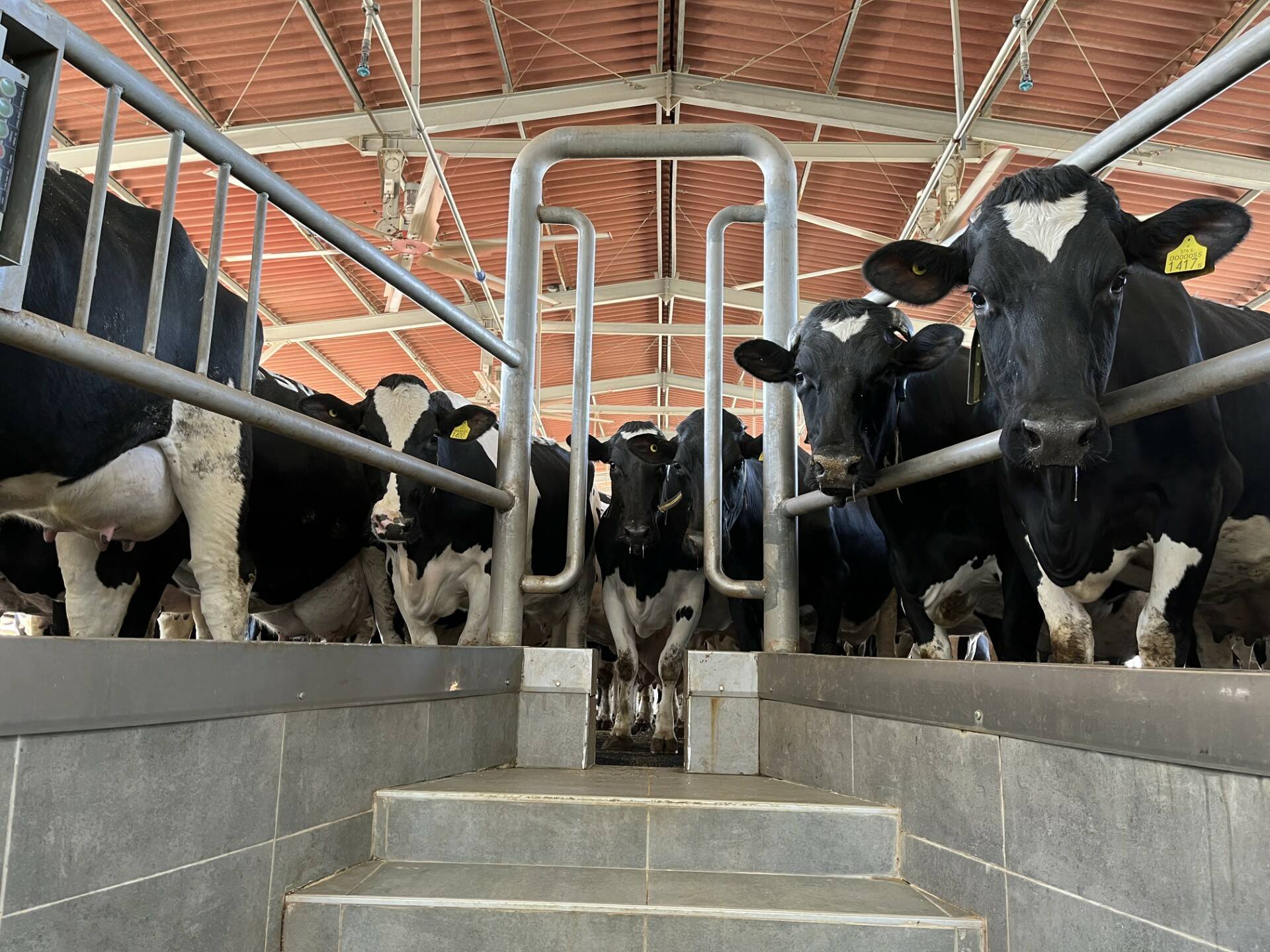 The Rebuilt Dairy Barn at Kibbutz Alumim. Photo Credit: Mindy Stern
