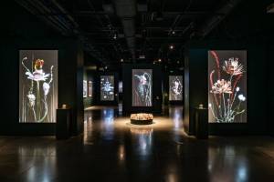 Photo by Jim Bennett/Photo Bakery