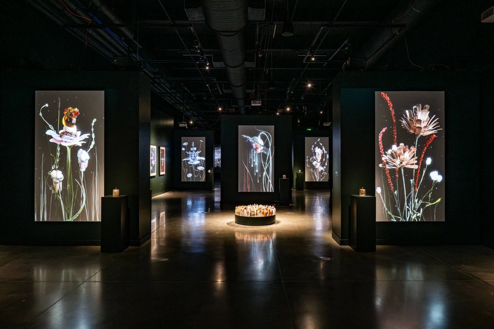 Photo by Jim Bennett/Photo Bakery