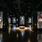 Photo by Jim Bennett/Photo Bakery