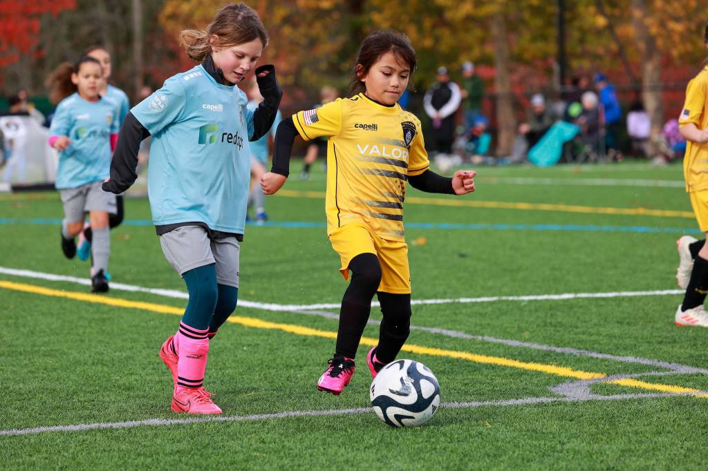 Children playing soccer at Petrovitsky Park in Renton. COURTESY PHOTO, King County Parks