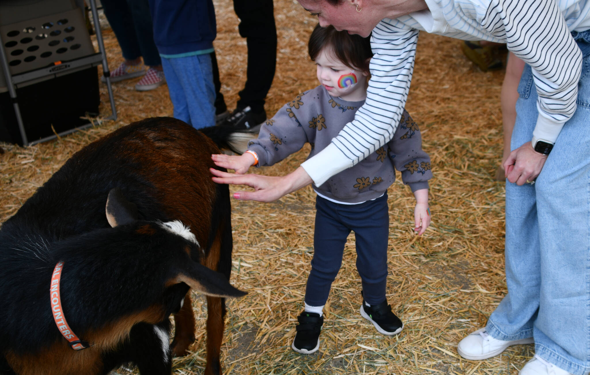 Norah Sanio, 2, and her mother Courtney Hampson pet a goat at the 58th Annual Mercer Island Preschool Association (MIPA) Circus on April 26 at Islander Middle School. This years lineup featured more than 20 games and activities hosted by local preschools: interactive attractions like face painting, balloon animals, inflatables and a petting zoo, and performances from favorites like Reptile Man and a magic show. Andy Nystrom/ staff photo