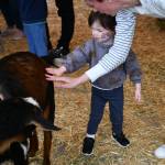 Norah Sanio, 2, and her mother Courtney Hampson pet a goat at the 58th Annual Mercer Island Preschool Association (MIPA) Circus on April 26 at Islander Middle School. This years lineup featured more than 20 games and activities hosted by local preschools: interactive attractions like face painting, balloon animals, inflatables and a petting zoo, and performances from favorites like Reptile Man and a magic show. Andy Nystrom/ staff photo
