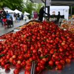 Cherries were in abundance at the EF Produce booth at last years Mercer Island Farmers Market. Andy Nystrom/ staff photo