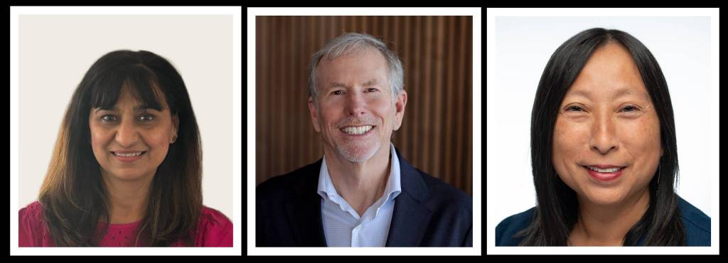 From left to right, 41st Legislative District state representative Position No. 1 primary candidates Vinita Kak, John Whitney and Janice Zahn. Courtesy photos