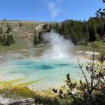 Imperial Geyser. Photo by Mindy Stern