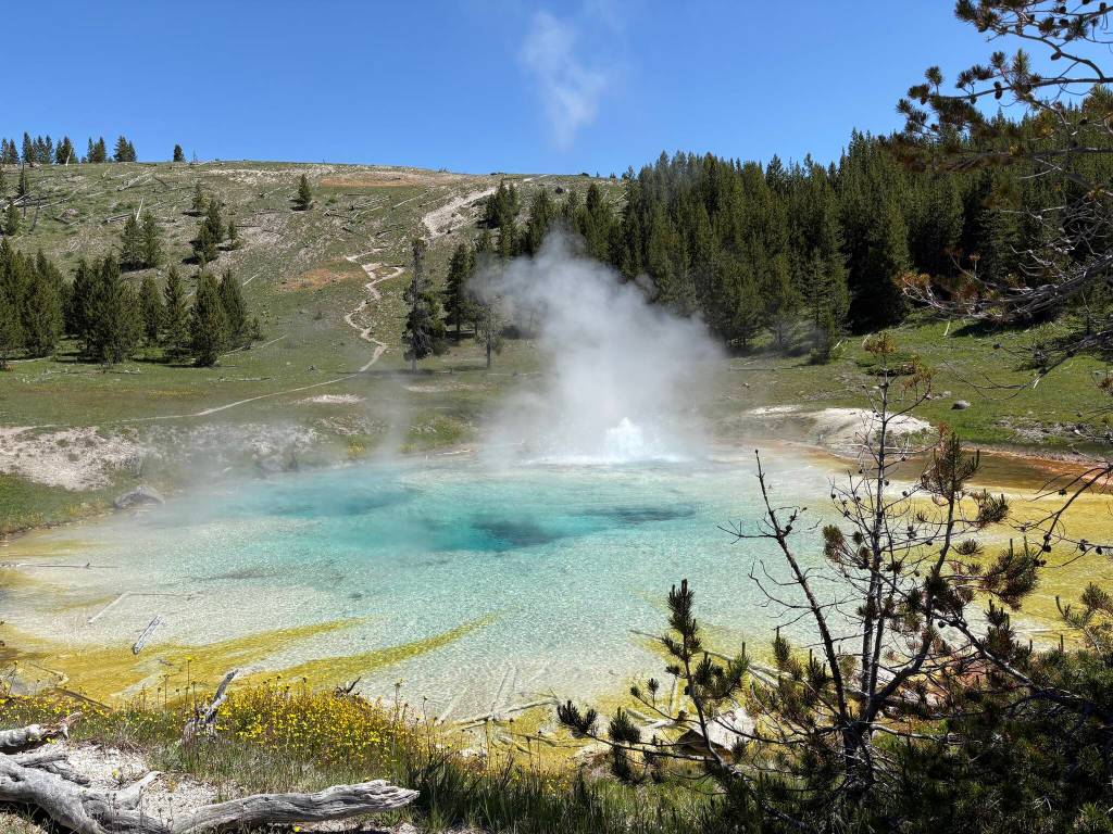 Imperial Geyser. Photo by Mindy Stern