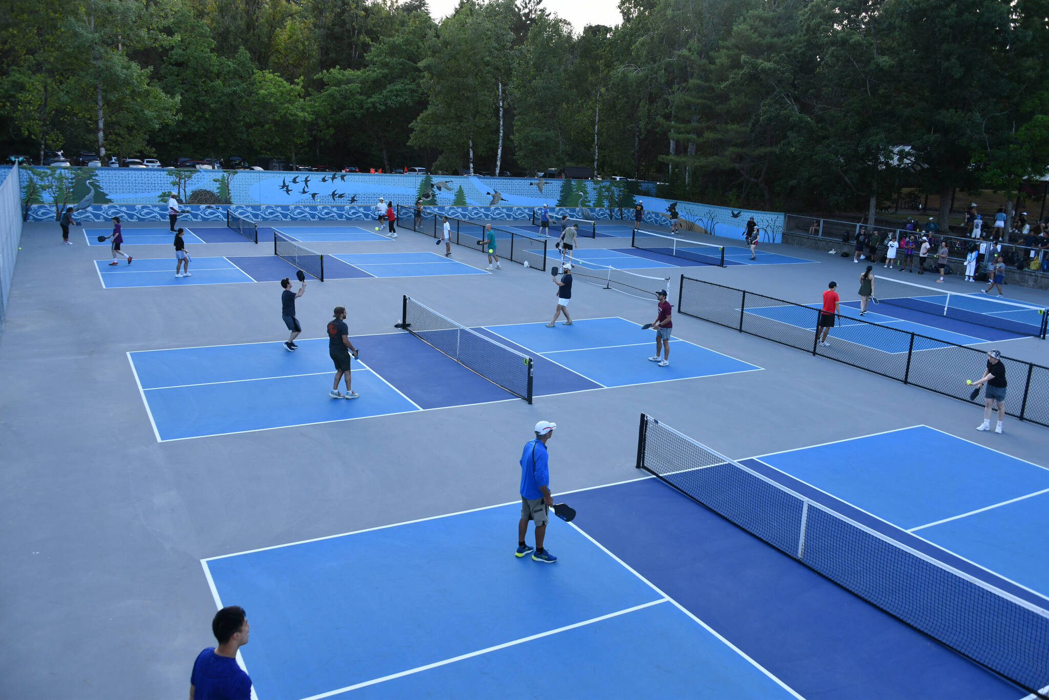 A plethora of pickleballers get in some action on the Luther Burbank Park sport courts on the evening of Aug. 7. To the right, many players wait their turns to hit the courts. Andy Nystrom/ staff photo
