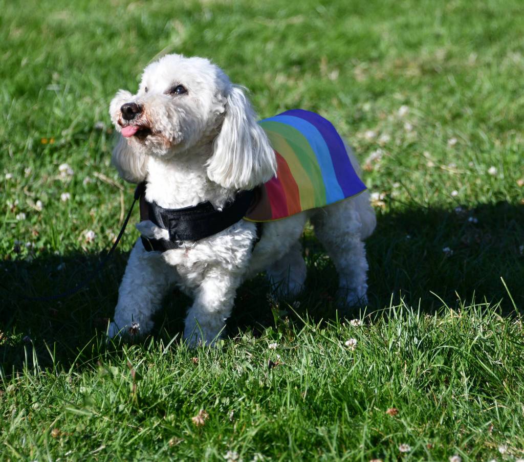 Andy Nystrom/ staff photo