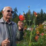 Einer Handeland stands amongst his dahlias at Mercer Islands Covenant Living at the Shores. Screen shot from video
