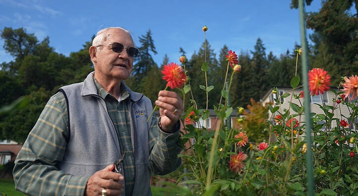 Einer Handeland stands amongst his dahlias at Mercer Islands Covenant Living at the Shores. Screen shot from video
