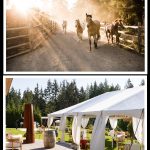 MI Funny Farms horses and spacious outdoor area on Island Crest Way. Photos courtesy of the MI Funny Farm