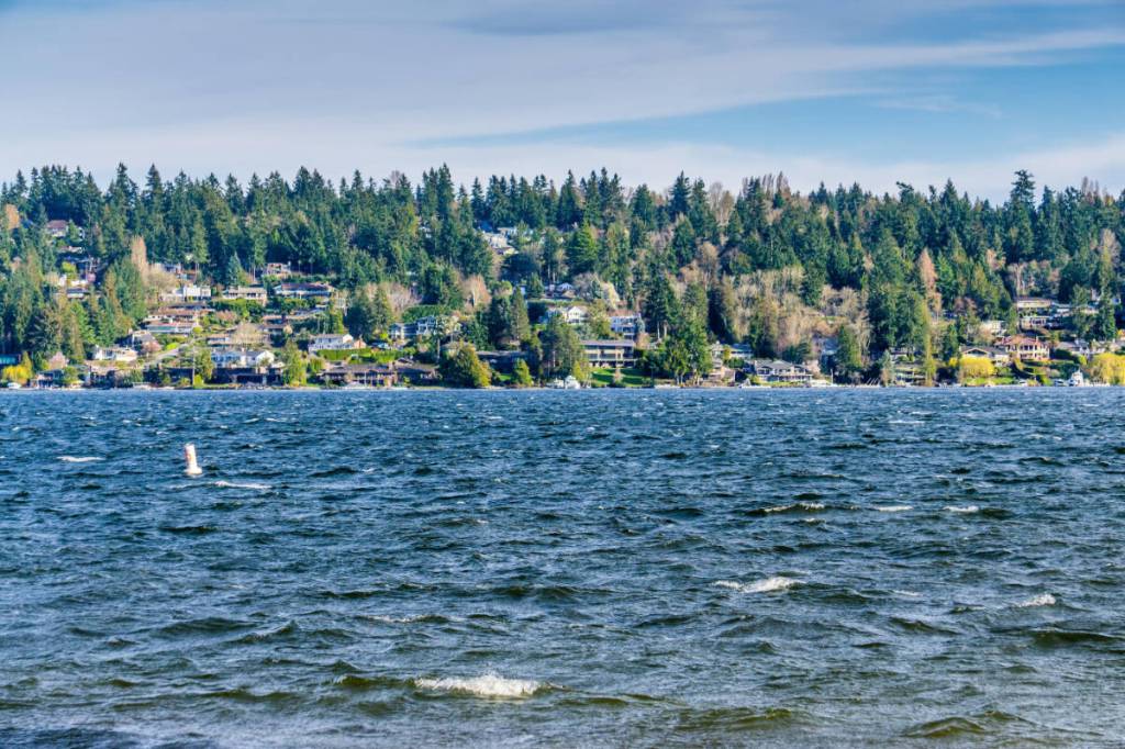 Mercer Island residents enjoy many opportunities to connect with their community. Courtesy Lori Holden Scott