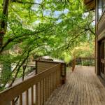 Photo courtesy of Chris Neir