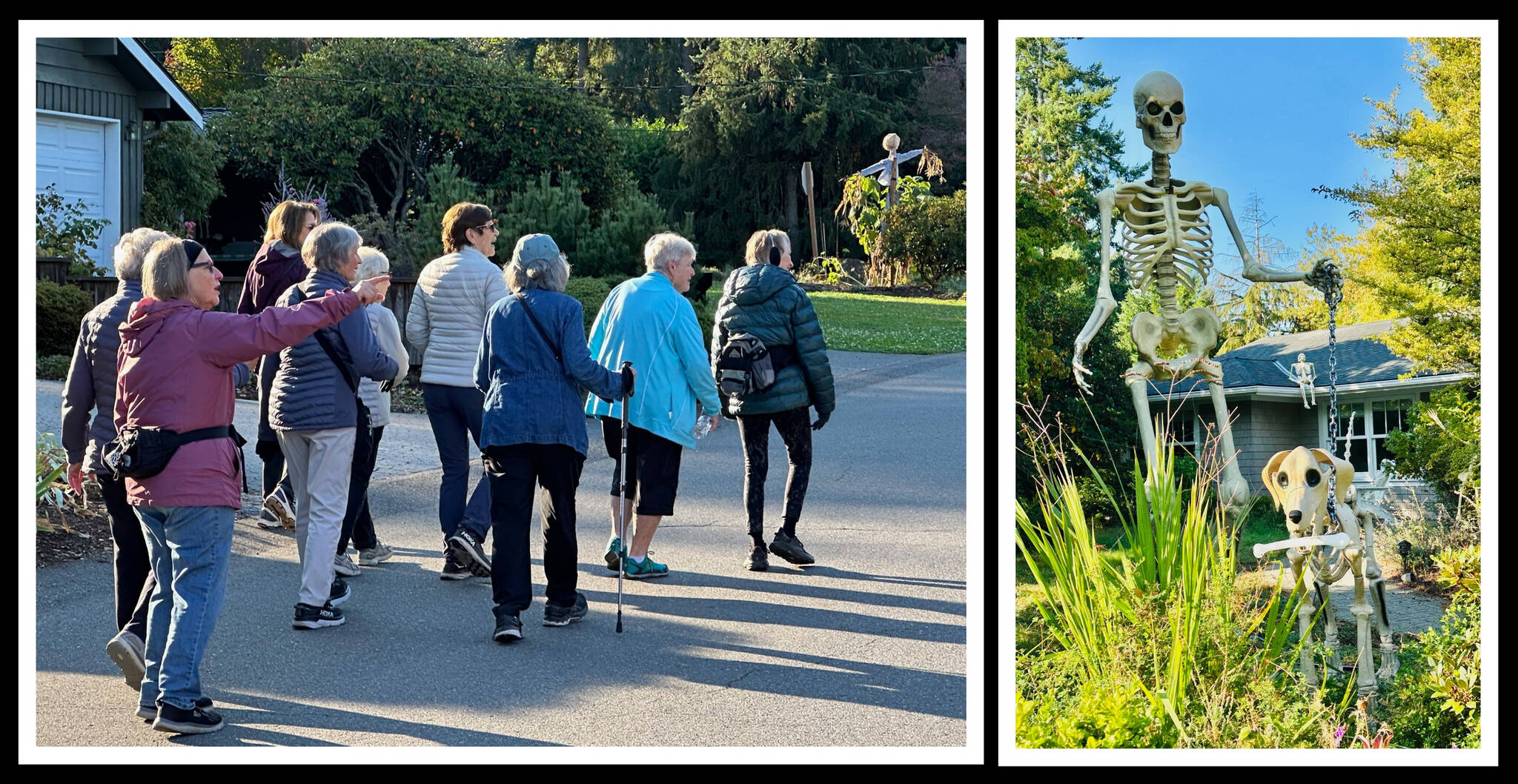 On a recent day, the Mercer Island Solemates walking group paused to notice a neighbors Halloween decoration. Photos courtesy of Greg Asimakoupoulos