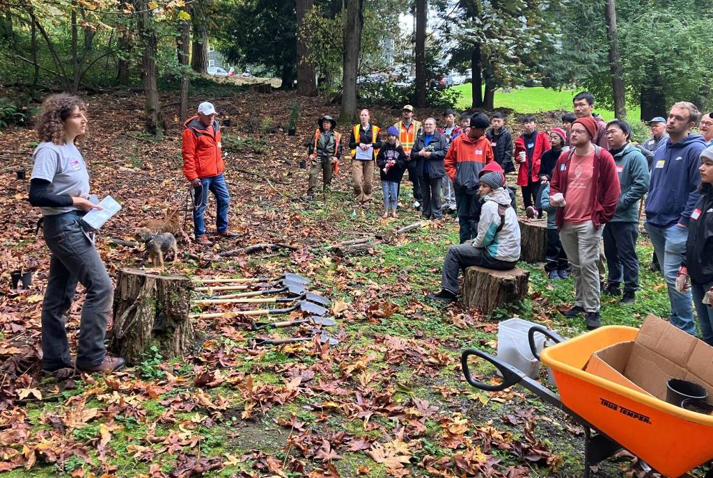 The city of Mercer Island will hold its annual Arbor Day event to celebrate the local urban tree canopy from 10 a.m. to 1 p.m. on Oct. 25 at Clarke Beach Park. Residents are invited to participate in the community planting at the event that is organized by the citys Natural Resources team. According to the city, the planting will ensure the Islands magnificent forest ecosystem thrives, both now and well into the future. Attendees will plant more than 200 native plants and spread mulch to help protect the plants from weeds. To volunteer and for more information, sign up at: <a href="https://volunteersignup.org/48JMA" target="_blank">https://volunteersignup.org/48JMA</a>. Courtesy of the city of Mercer Island