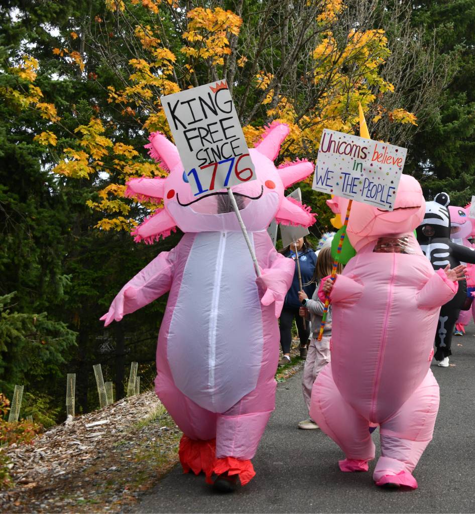 Andy Nystrom/ staff photo