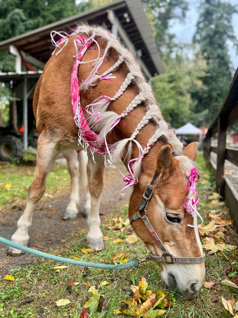 Photo courtesy of Suzanne Zahr