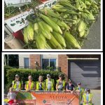 Heres a look at this years Mercer Island Farmers Market. Courtesy photos