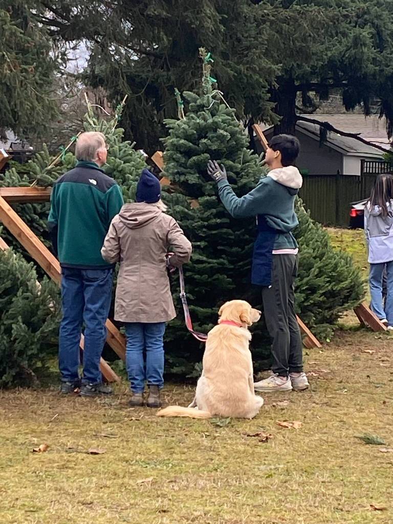A holiday tree lot volunteer lends a hand at last years fundraiser. Courtesy photo