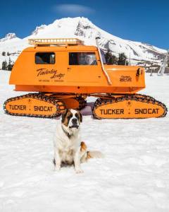 Bruno Senior. Photo Courtesy of Timberline Lodge