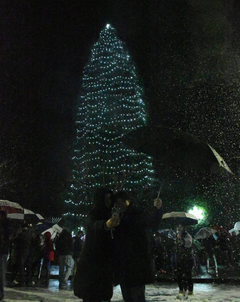 Andy Nystrom/ staff photo