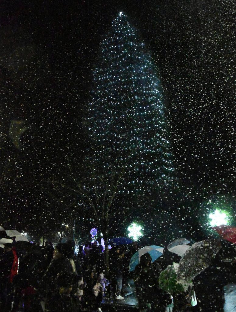 Mercer Islanders gather together for the citys Annual Holiday Tree Lighting of the huge sequoia on Dec. 4 at Mercerdale Park and on Southeast 32nd Street between 77th Avenue Southeast and 78th Avenue Southeast. The event featured simulated snowfall courtesy of SplashTimesFun, performances by the Mercer Island High School Bel Canto Choir and Creation Dance Studio, vendor booths and an Eastside Fire & Rescue truck for attendees to visit. Andy Nystrom/ staff photo