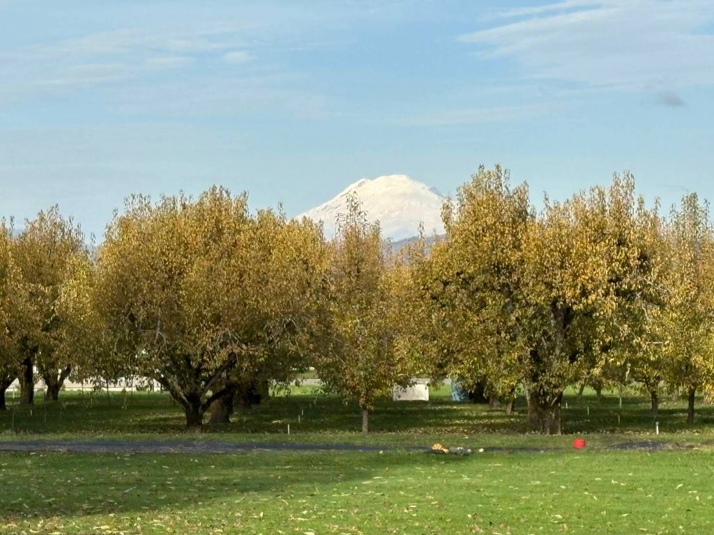 View of Mount Adams from The Gorge White House.