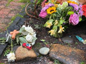 Photo courtesy of Greg Asimakoupoulos