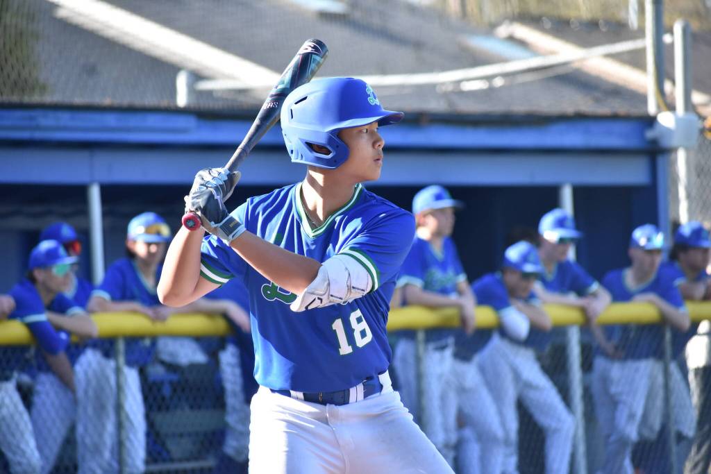 Caleb Chin at the plate for Liberty. Ben Ray / The Reporter