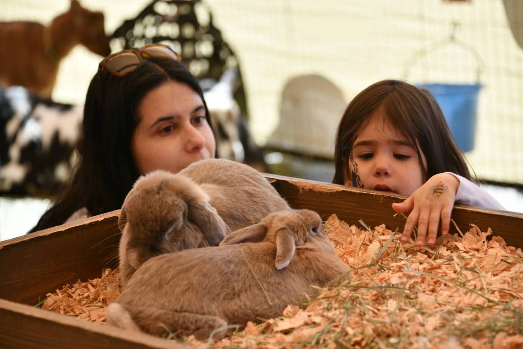 Sara Baker and her daughter Lily, 2 and a half years old, visit with bunnies at the Mercer Island Preschool Association (MIPA) Circus on April 25 at Islander Middle School. Andy Nystrom/ staff photo