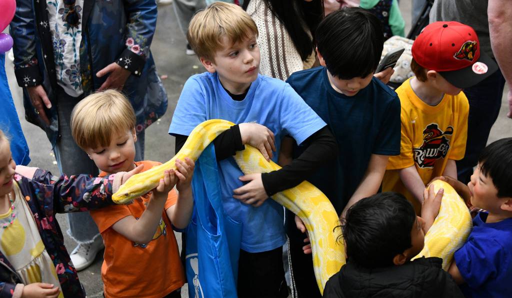 Kids get their hands on a python at the Reptile Man section of Circus. Andy Nystrom/ staff photo