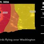 The night of April 29 showing peak bird migration in Washington state. Image courtesy of Purdue AeroEco Lab.