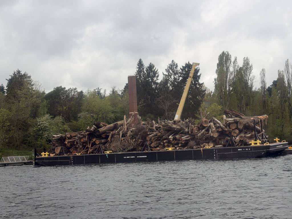 A barge filled with about 200 tons of debris from Lake Washington is pulled past the boiler building off Luther Burbank Park. Photo courtesy of the city of Mercer Island