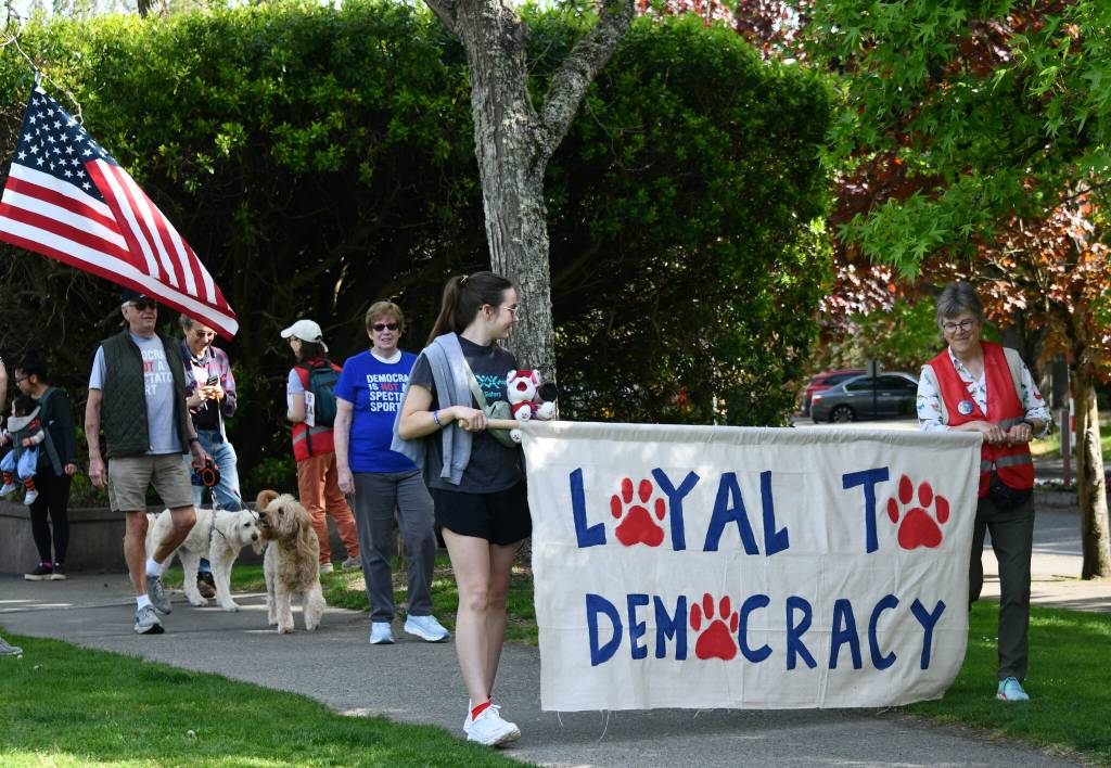 Mercer Island residents participate in the Dogs for Democracy event on May 9 at Mercerdale Park. The group walked through the park and the nearby business district. The event was the brainchild and labor of love of Regina Feinberg. Democracy works best when everyone shows up and every bark counts, reads a press release. Andy Nystrom/ staff photo
