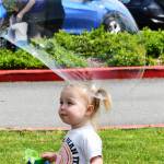 Harper Johnson, 22 months old, enjoys the bubbles at the Community Day of Inclusion. Andy Nystrom/ staff photo