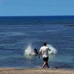 A rock lands near the seal. COURTESY PHOTO, U.S. Attorneys Office, District of Hawaii