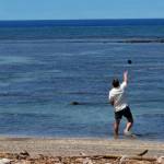 A Covington man reportedly throws a rock at a Hawaiian monk seal May 5 in Maui. COURTESY PHOTO, U.S. Attorneys Office, District of Hawaii