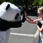 Tons of fun at last years Summer Celebration community parade. Reporter file photo