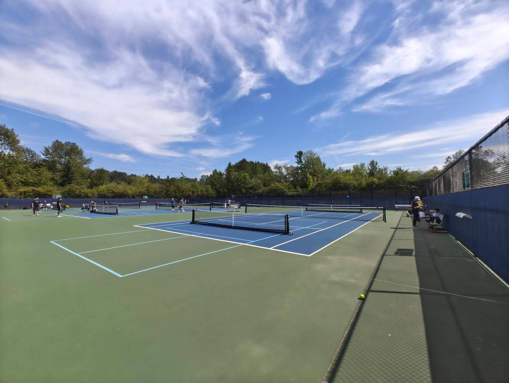 Talbot Hill Park courts are busy with pickleball players. Ben Ray / The Reporter