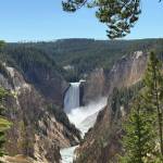 The Grand Canyon of Yellowstone National Park. Photo courtesy of Mindy Stern
